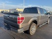 2010 Ford F-150   thumbnail image 06