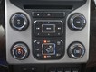 2015 Ford Super Duty F-250 SRW Platinum thumbnail image 12