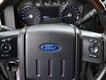 2015 Ford Super Duty F-250 SRW Platinum thumbnail image 16