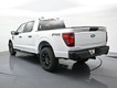 2026 Ford F-150 STX thumbnail image 08