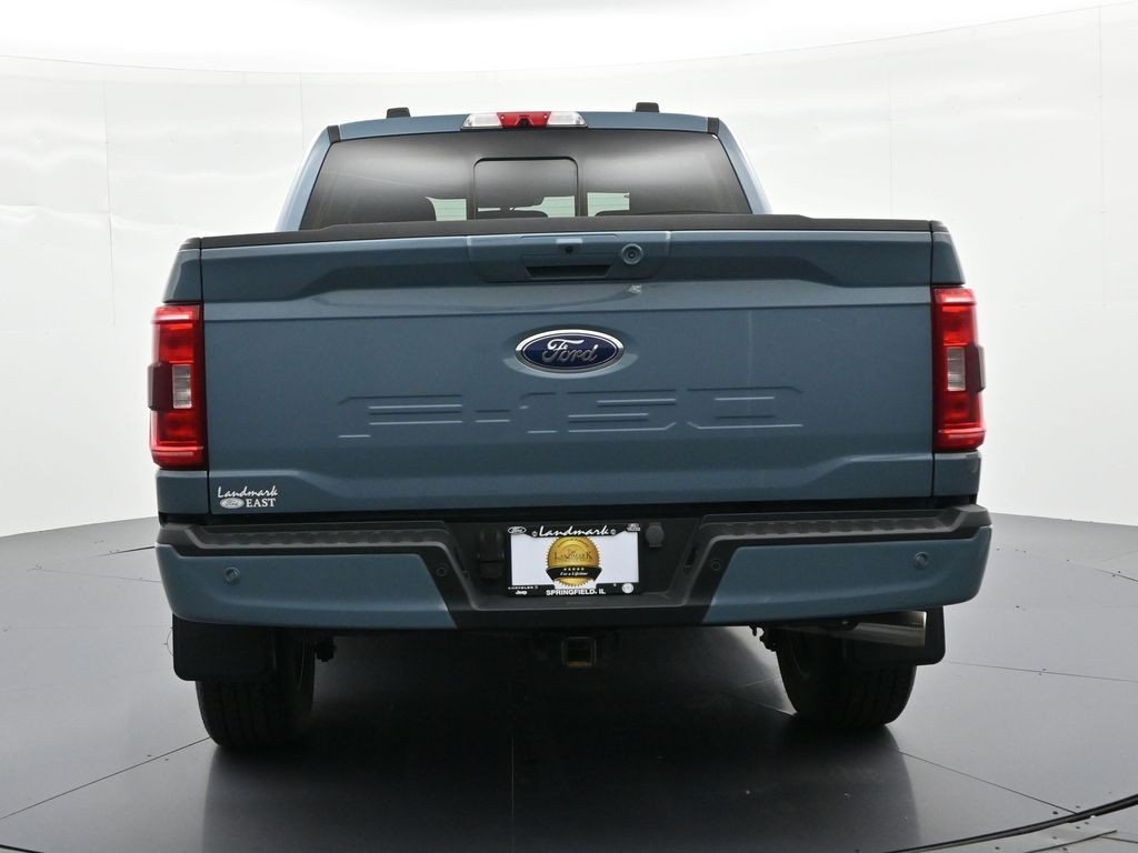 Ford F-150 Vehicle Full-screen Gallery Image 07