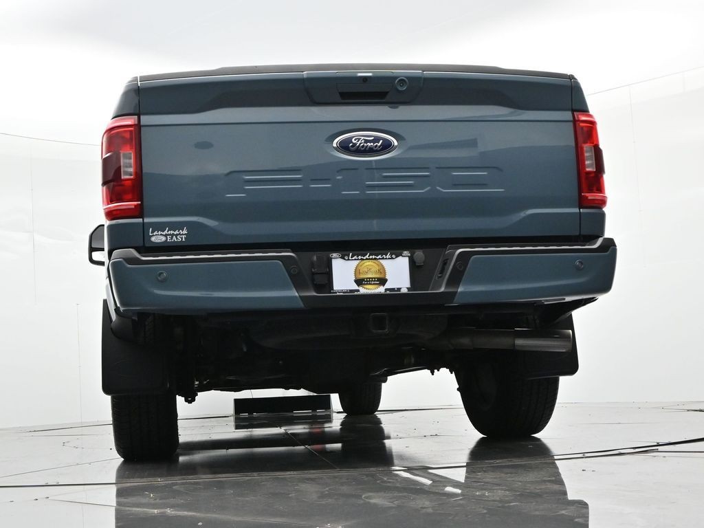Ford F-150 Vehicle Full-screen Gallery Image 19