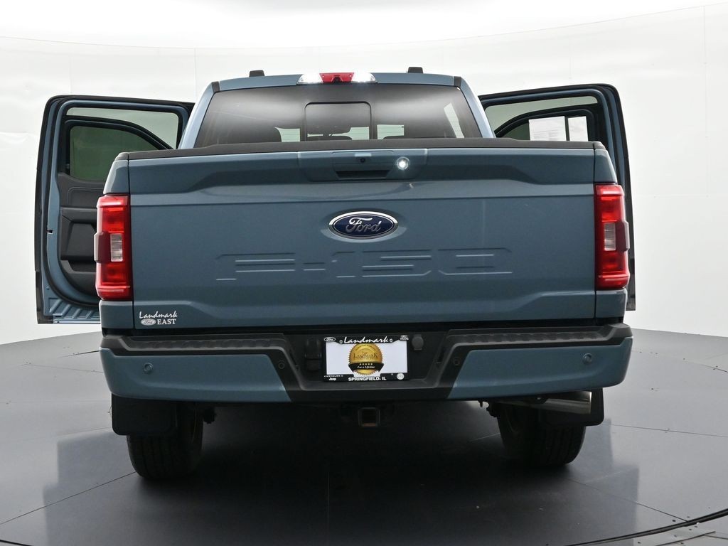 Ford F-150 Vehicle Full-screen Gallery Image 25