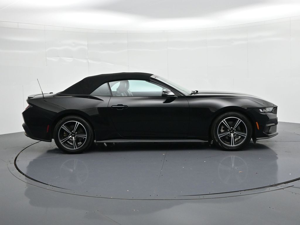 Ford Mustang Vehicle Full-screen Gallery Image 5