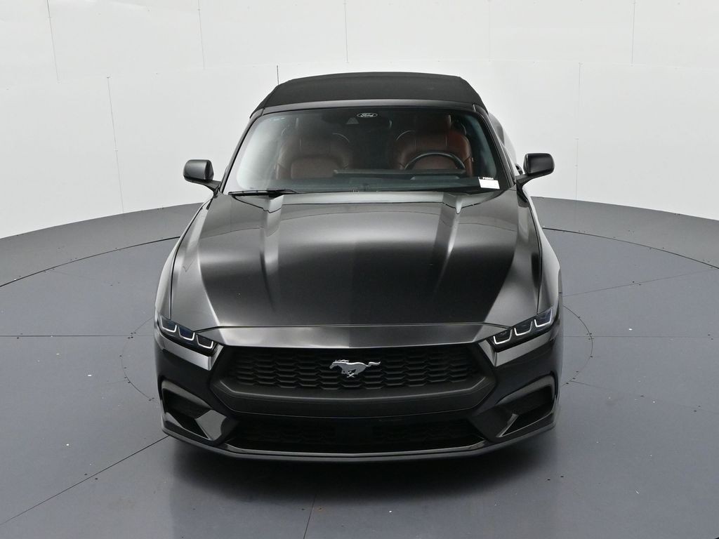 Ford Mustang Vehicle Full-screen Gallery Image 16