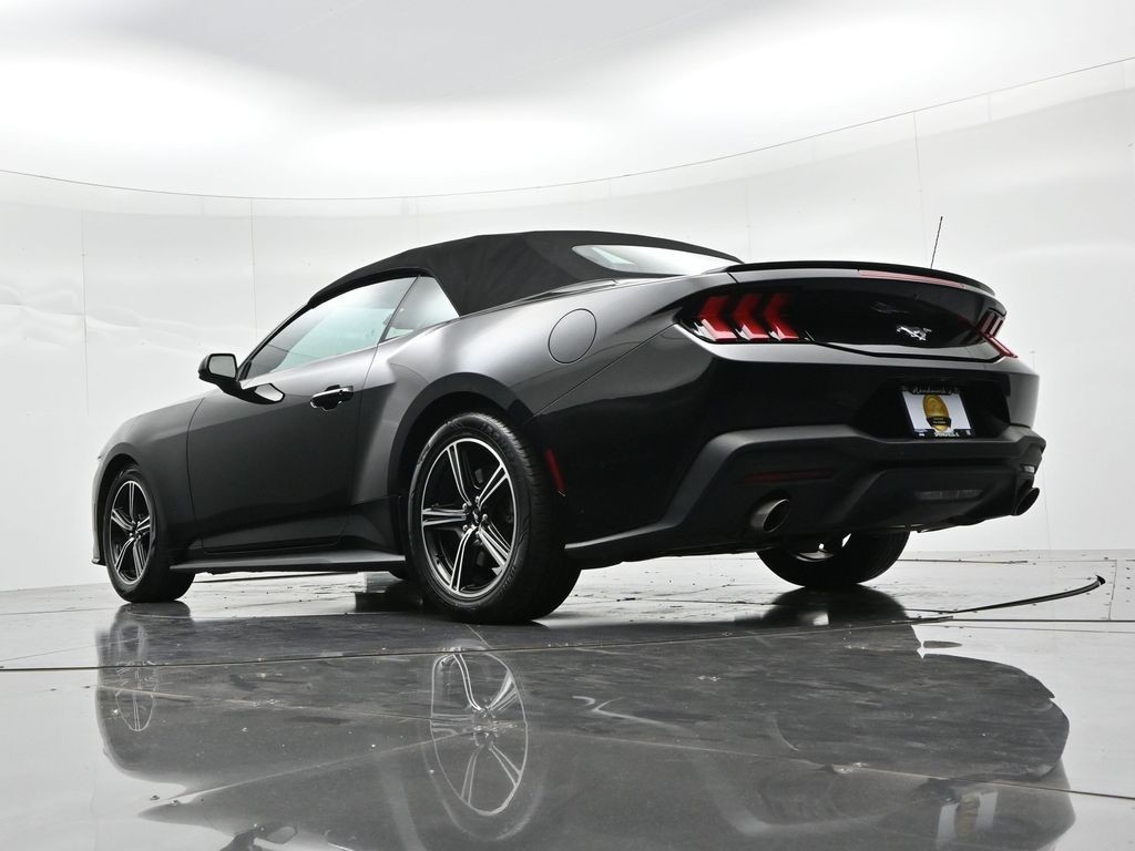 Ford Mustang Vehicle Full-screen Gallery Image 19