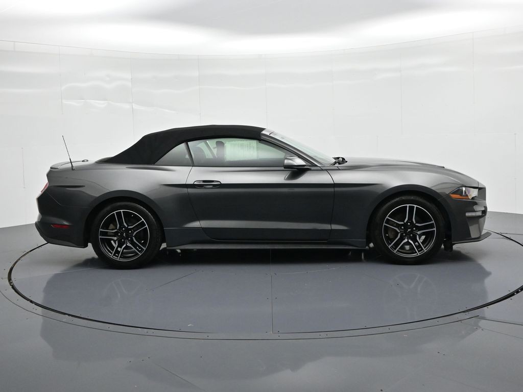 Ford Mustang Vehicle Full-screen Gallery Image 5