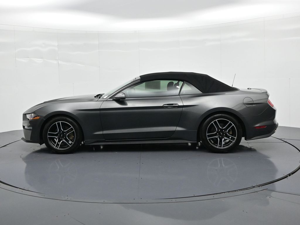Ford Mustang Vehicle Full-screen Gallery Image 9