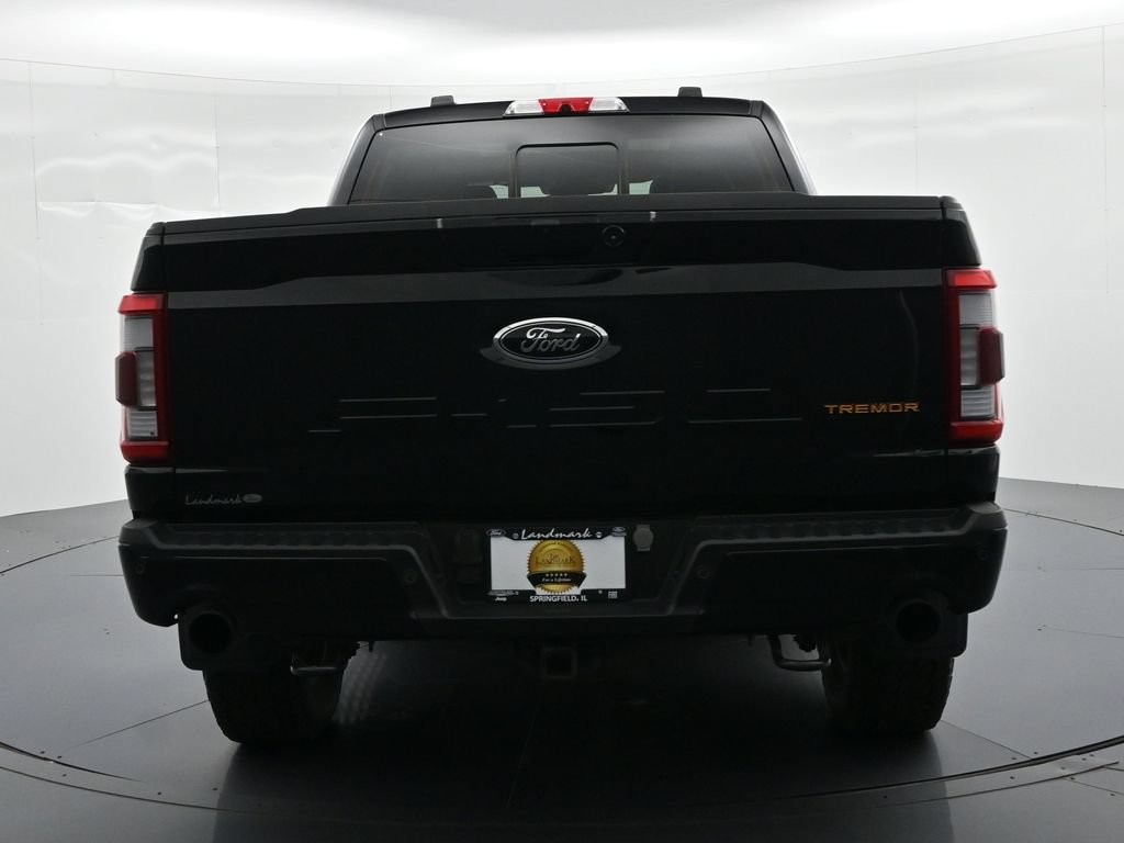 Ford F-150 Vehicle Full-screen Gallery Image 7