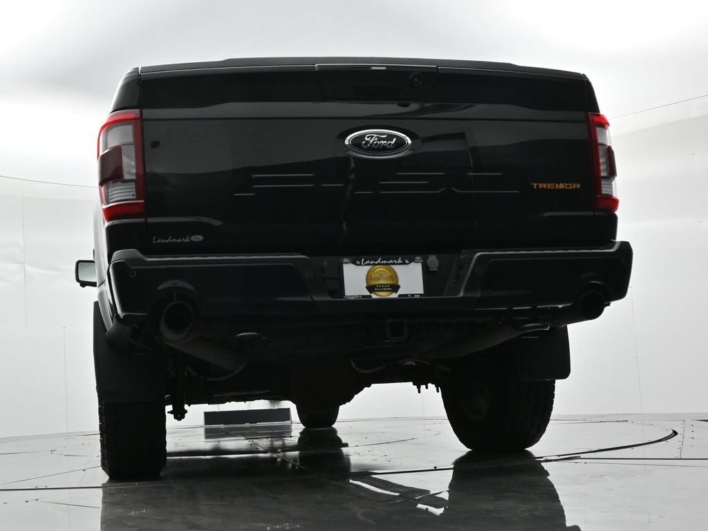 Ford F-150 Vehicle Full-screen Gallery Image 20