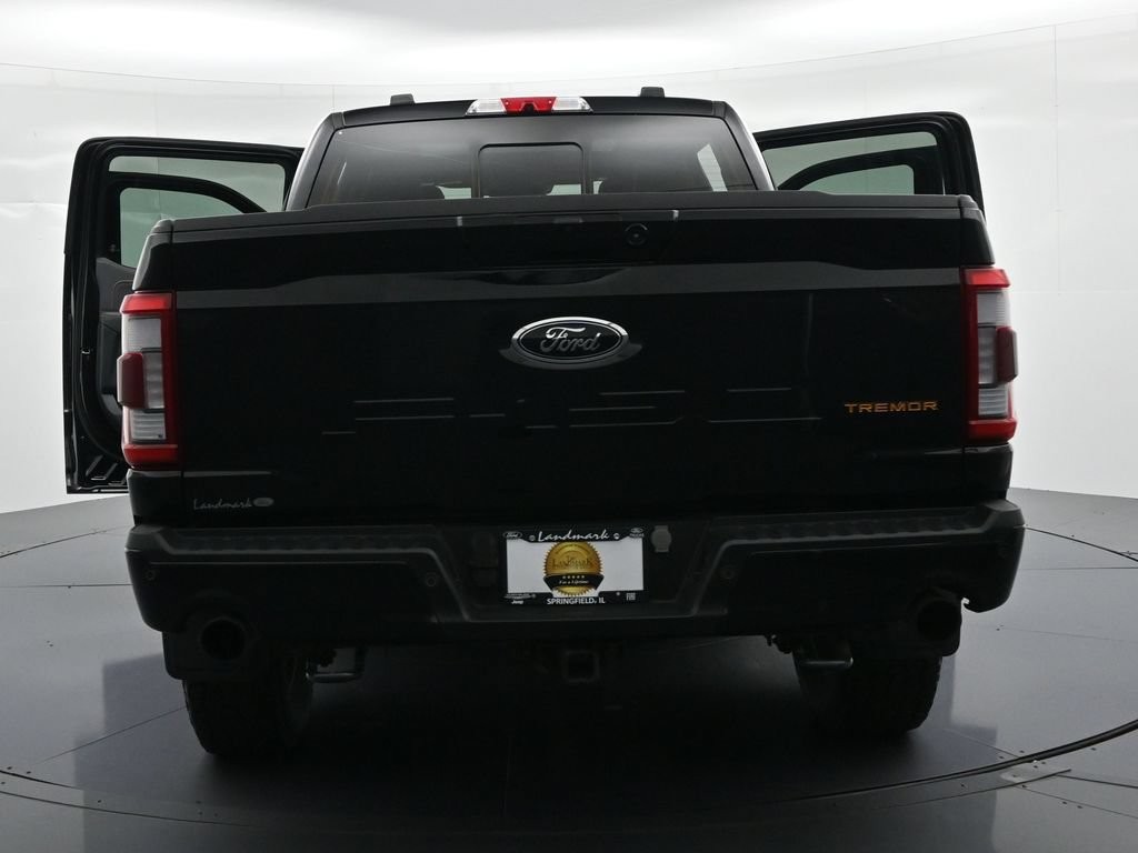 Ford F-150 Vehicle Full-screen Gallery Image 26
