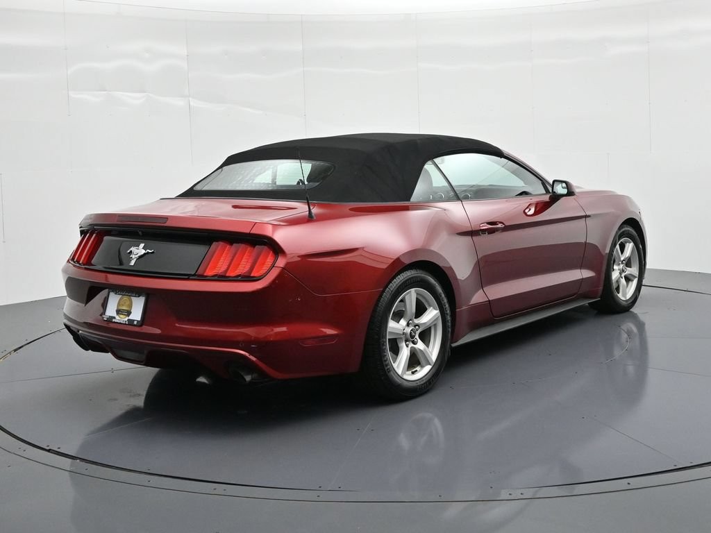 Ford Mustang Vehicle Full-screen Gallery Image 6