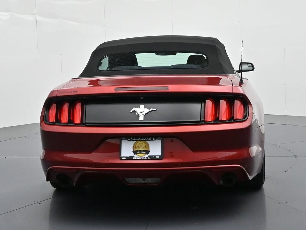 Ford Mustang Vehicle Full-screen Gallery Image 7