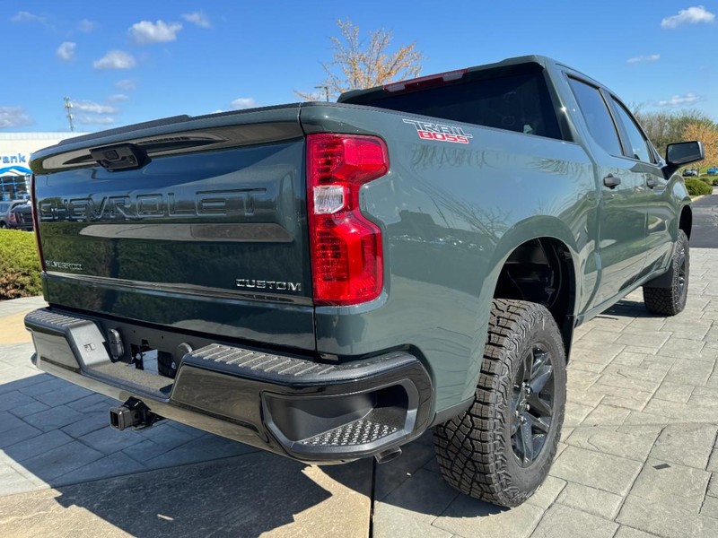 Chevrolet Silverado 1500 Vehicle Image 04