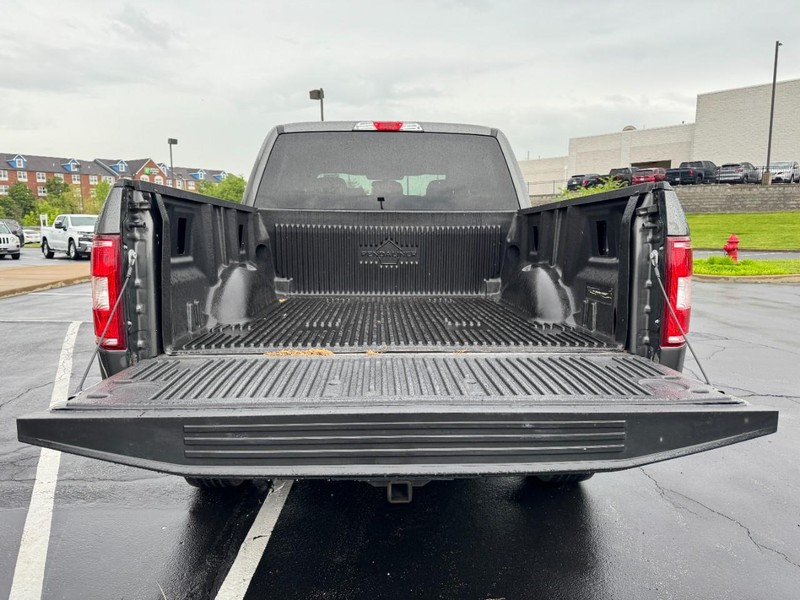 Ford F-150 Vehicle Image 06