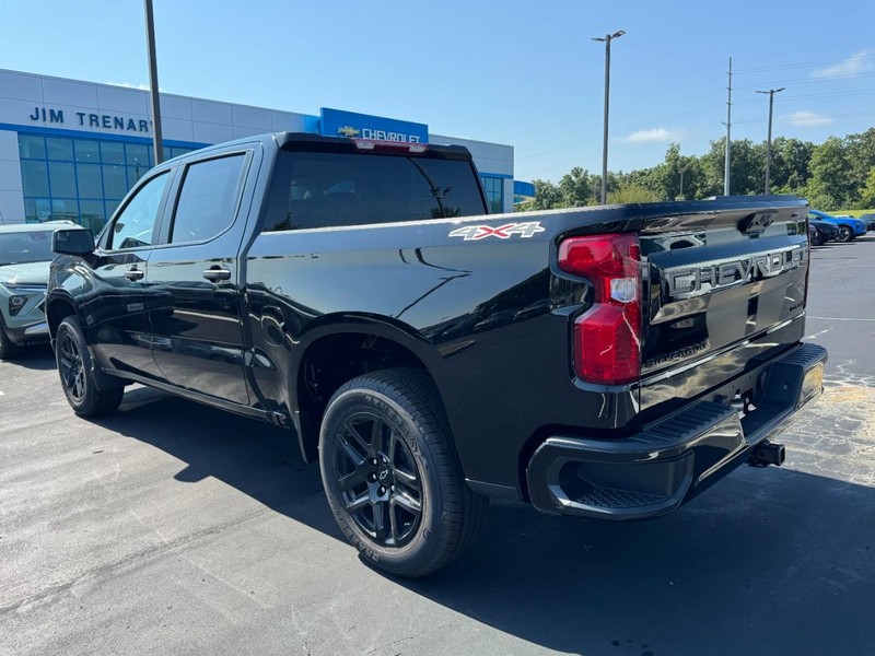 Chevrolet Silverado 1500 Vehicle Image 06