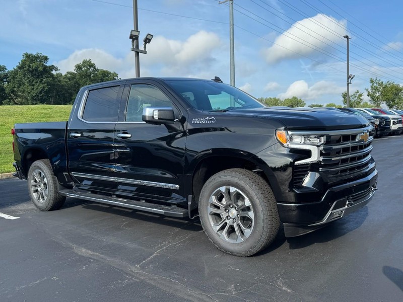 Chevrolet Silverado 1500 Vehicle Image 02