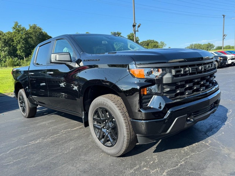 Chevrolet Silverado 1500 Vehicle Image 02