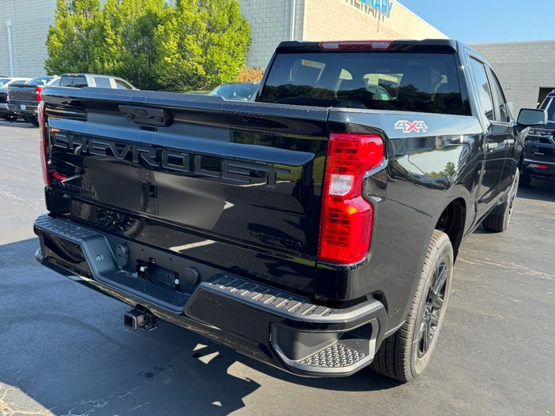 Chevrolet Silverado 1500 Vehicle Image 03