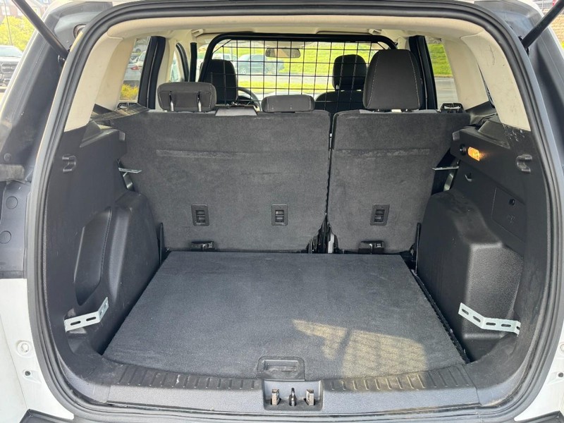 Ford Escape Vehicle Image 06