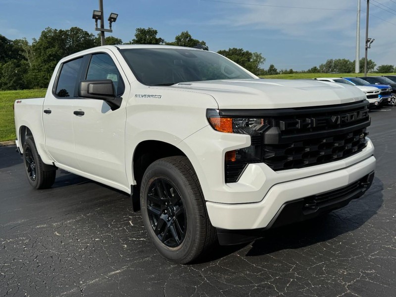 Chevrolet Silverado 1500 Vehicle Image 02