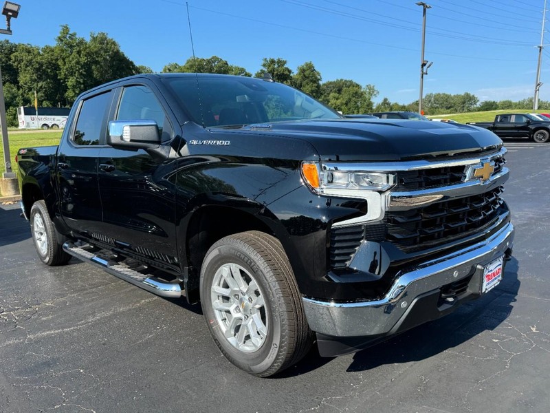 Chevrolet Silverado 1500 Vehicle Image 02