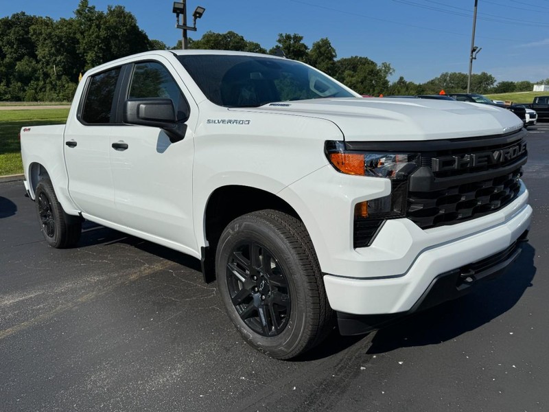 Chevrolet Silverado 1500 Vehicle Image 02