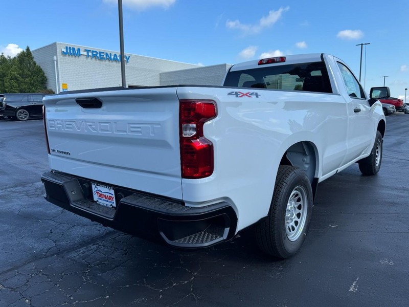 Chevrolet Silverado 1500 Vehicle Image 03