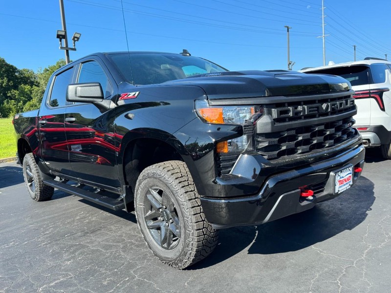 Chevrolet Silverado 1500 Vehicle Image 02