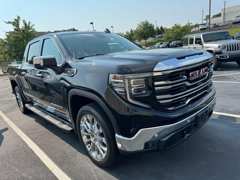 GMC Sierra 1500 Vehicle Image 04