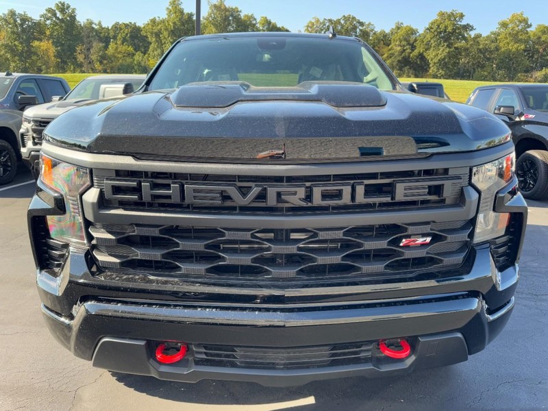 Chevrolet Silverado 1500 Vehicle Image 02