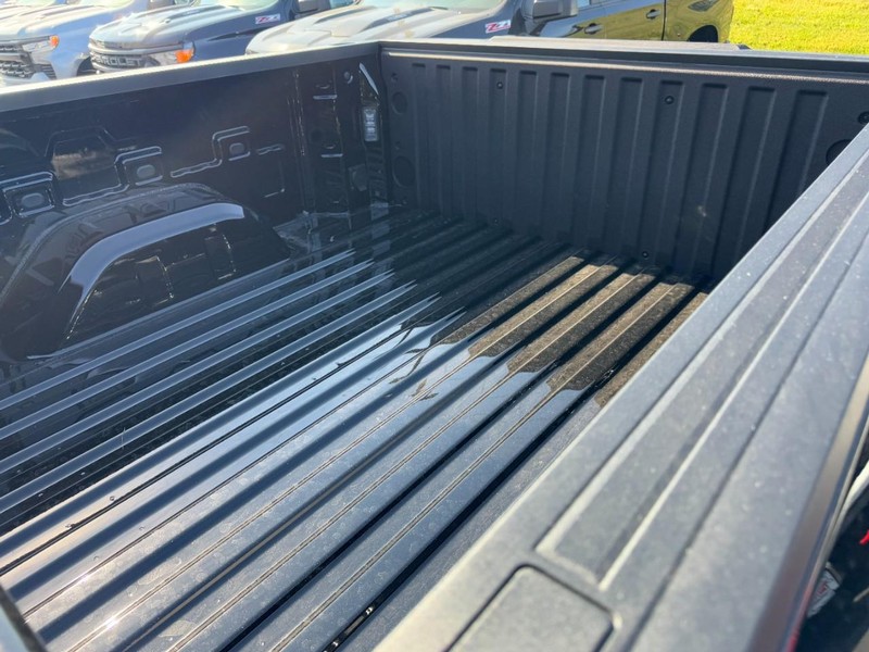 Chevrolet Silverado 1500 Vehicle Image 09