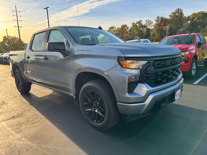 Chevrolet Silverado 1500 Vehicle Image 02