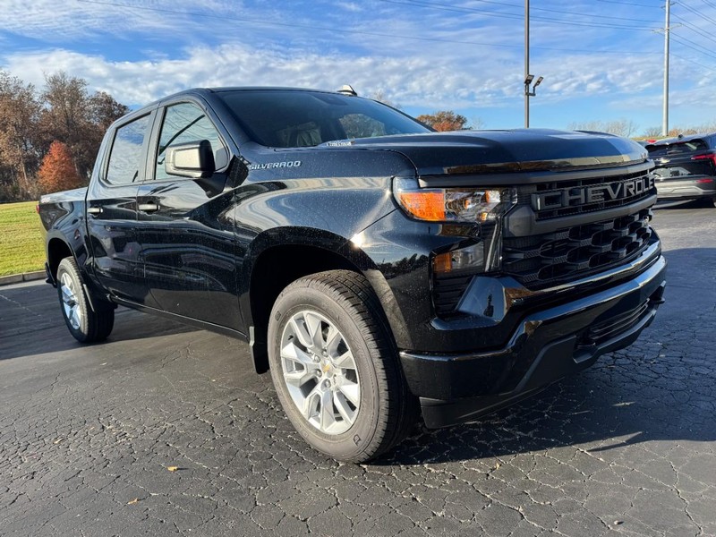 Chevrolet Silverado 1500 Vehicle Image 02