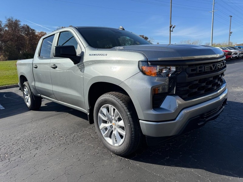 Chevrolet Silverado 1500 Vehicle Image 02