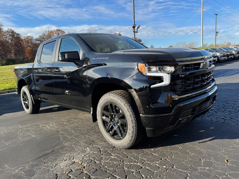 Chevrolet Silverado 1500 Vehicle Image 02