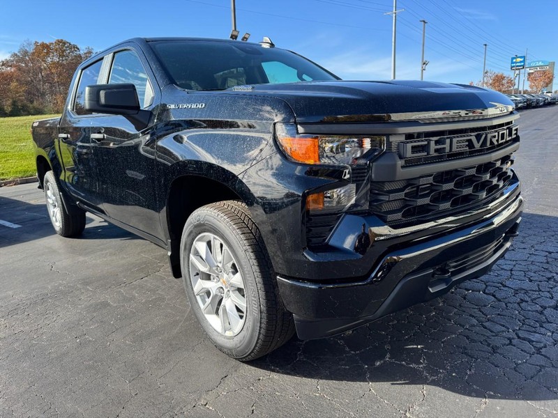 Chevrolet Silverado 1500 Vehicle Image 02