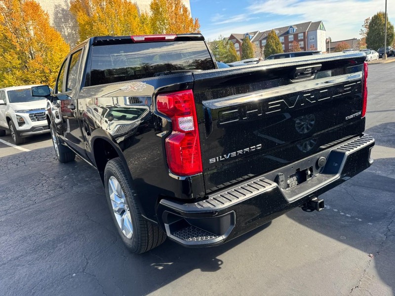 Chevrolet Silverado 1500 Vehicle Image 06