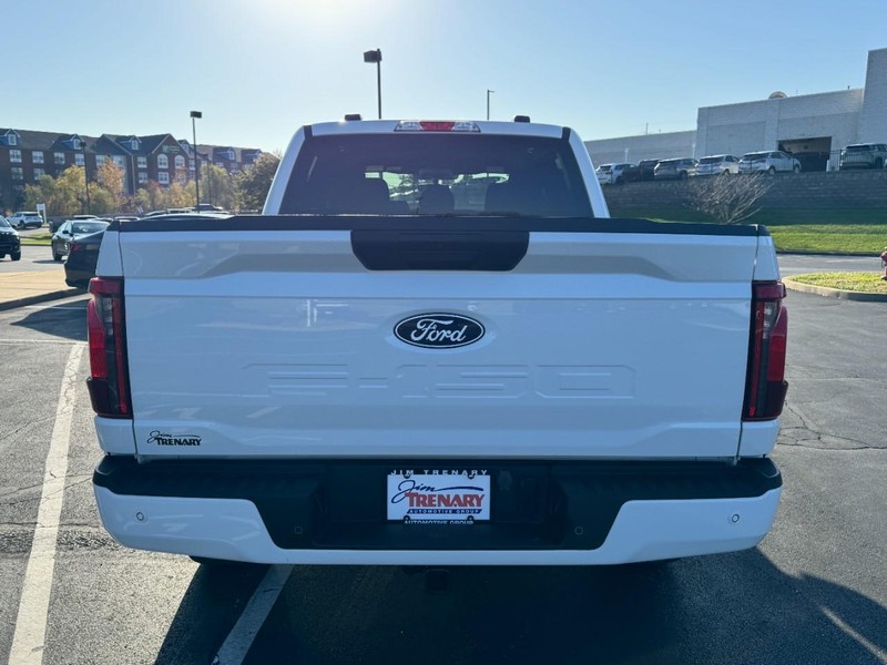 Ford F-150 Vehicle Image 05