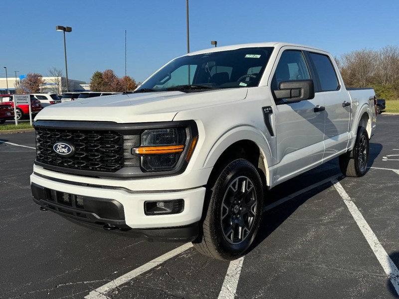 Ford F-150 Vehicle Image 10