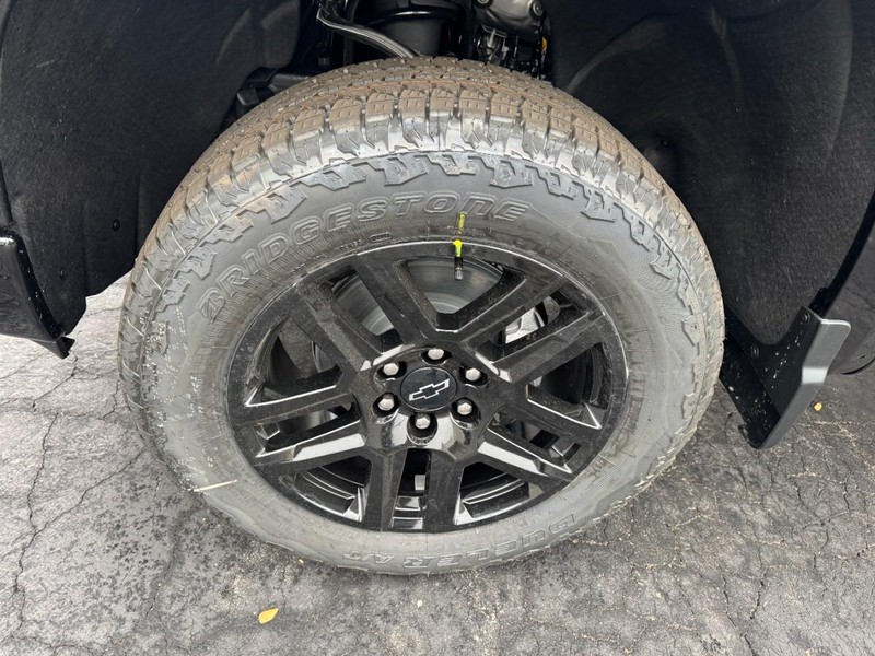 Chevrolet Silverado 1500 Vehicle Image 06