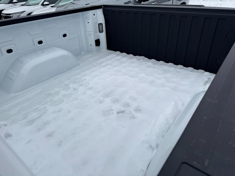 Chevrolet Silverado 1500 Vehicle Image 06