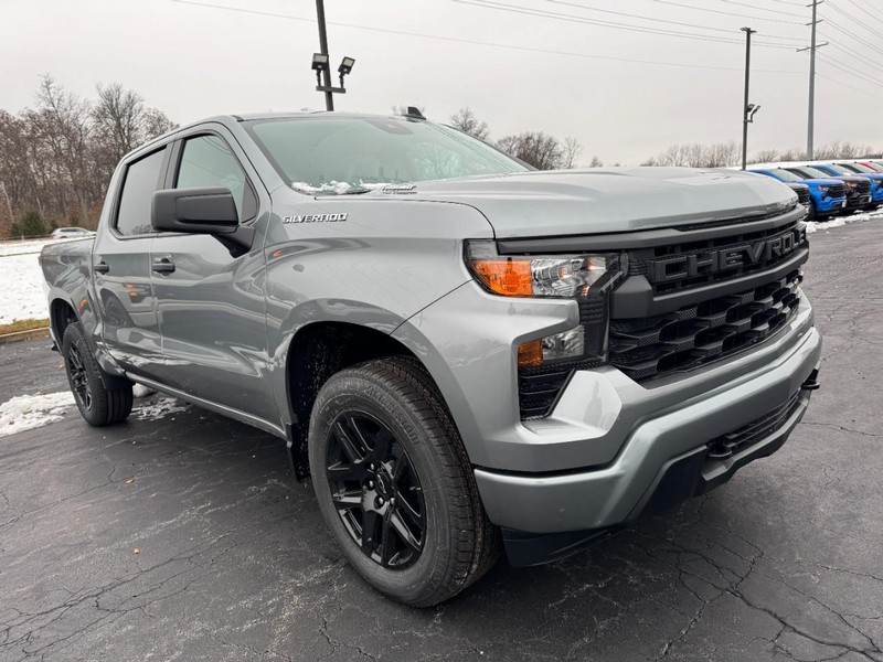 Chevrolet Silverado 1500 Vehicle Image 02