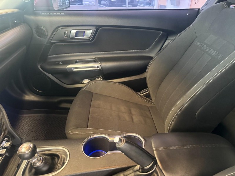 Ford Mustang Vehicle Image 10