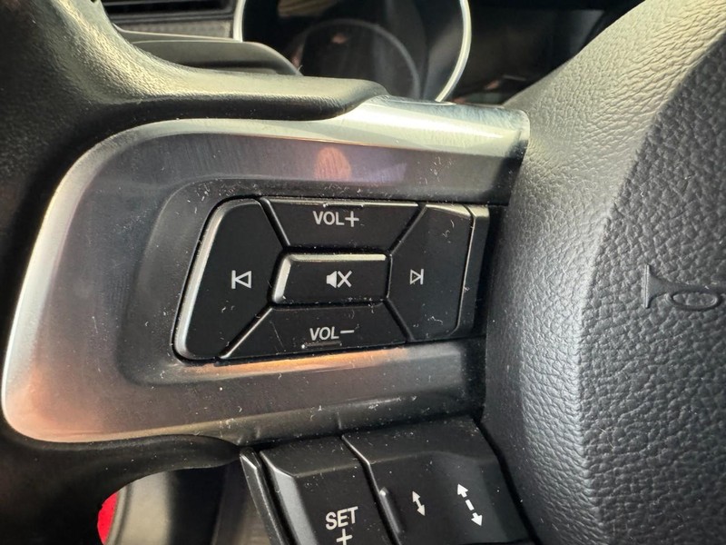 Ford Mustang Vehicle Image 13