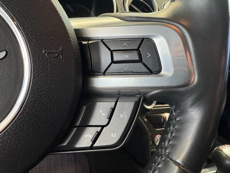 Ford Mustang Vehicle Image 14