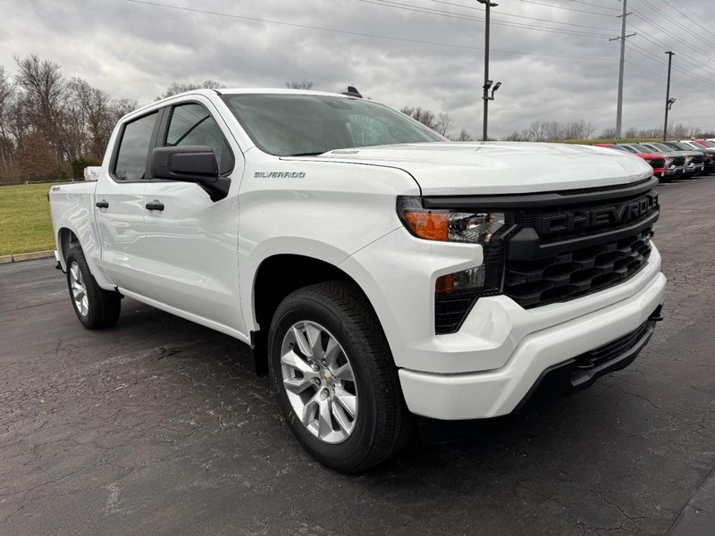 Chevrolet Silverado 1500 Vehicle Image 02