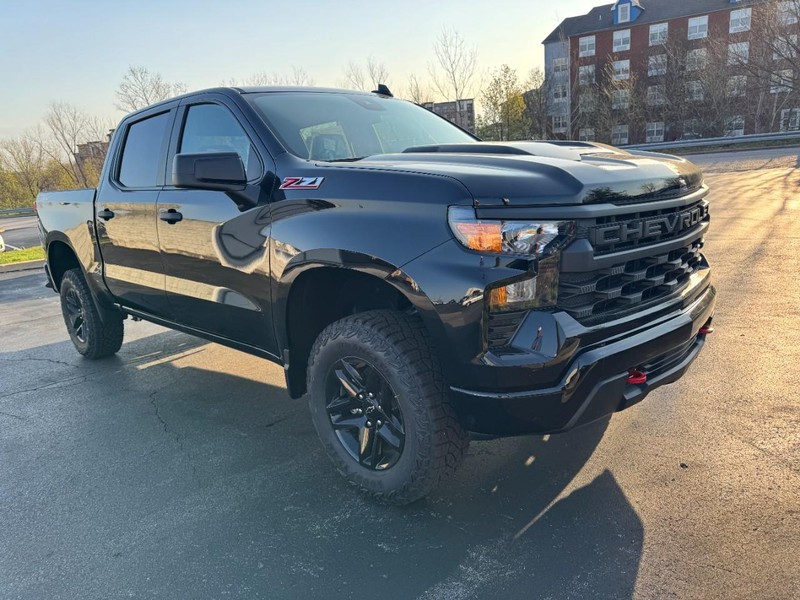 Chevrolet Silverado 1500 Vehicle Image 02