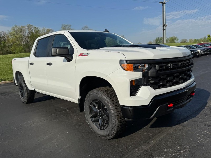 Chevrolet Silverado 1500 Vehicle Image 02