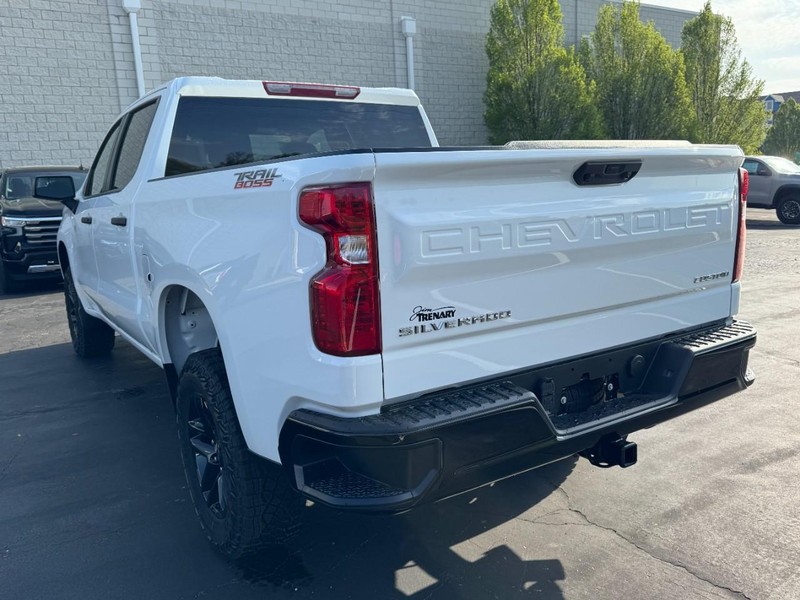 Chevrolet Silverado 1500 Vehicle Image 06